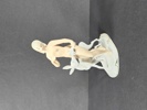 Schaubach, figurin
