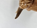Goebel, figurin "Styckningsschema" nötkreatur