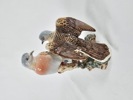 Arthur Gredington, figurin "Turturduvor" Beswick, England