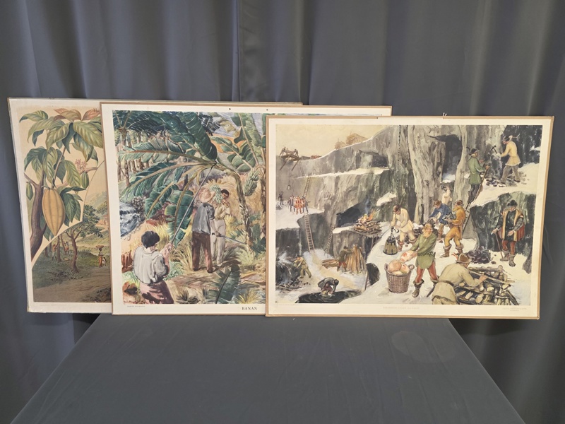 Skolplanscher, 3 st, Banan, Kakao, Bergsbruk